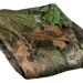 249507036.png