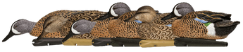 249507380.png
