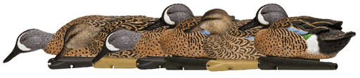 249507380.png