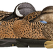 249507380.png