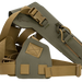 249507662.png