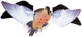 249508184.png