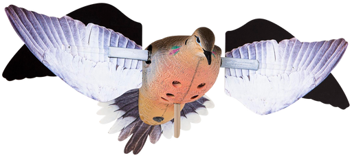 249508184.png
