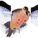 249508184.png