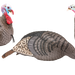 249508772.png