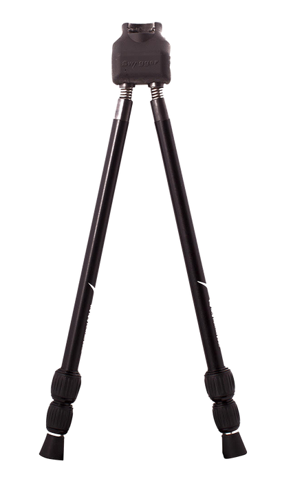 249509005.png