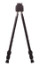 249509005.png