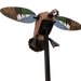 249509277.png