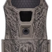 249509359.png