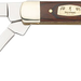 249509606.png