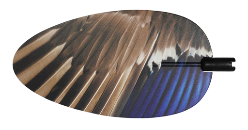 249510210.png