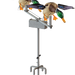 249512666.png