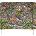 249513245.png