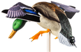 249513389.png