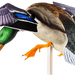 249513389.png