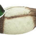 249513830.png