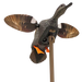 249515336.png