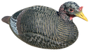 249515446.png