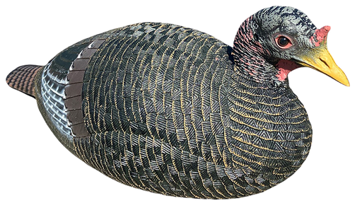 249515446.png