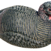 249515446.png