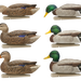 249516420.png