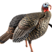249517254.png