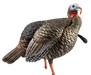 249517254.png