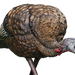 249519232.png