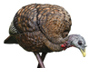 249519232.png