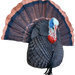 249519455.png