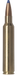 249519483.png