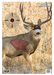 249520282.png