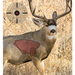 249520282.png