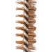 249520357.png