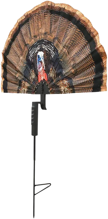 249520362.png
