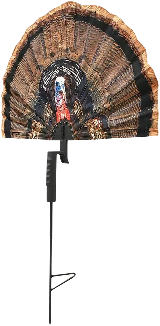 249520362.png