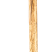 249520381.png
