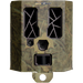 249521443.png