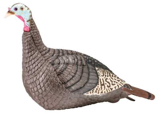 249523098.png