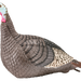 249523098.png