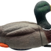 249523800.png