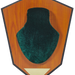 249524025.png