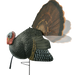 249524073.png