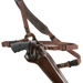 249524081.png