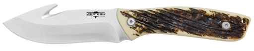 249524643.png