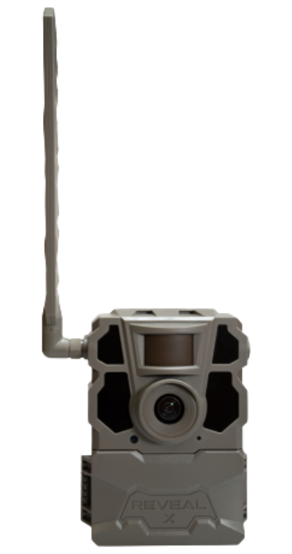 249524781.png