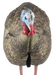 249525494.png