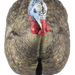 249525494.png
