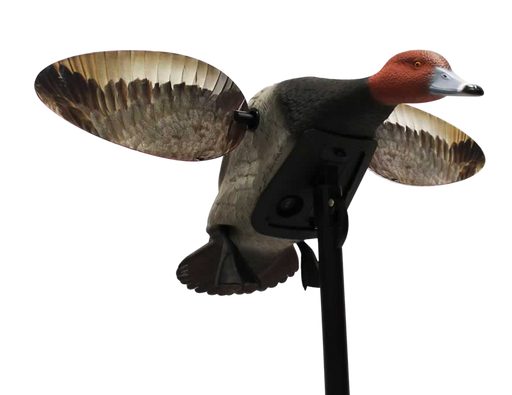 249525556.png