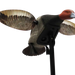 249525556.png